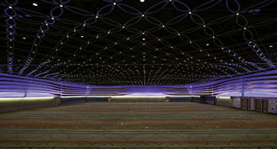 Stars at Night Ballroom