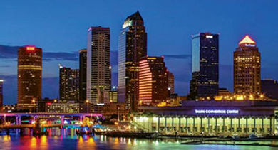 Tampa city night skyline
