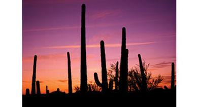 Tucson desert sky