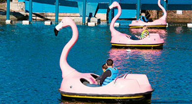 flamingo paddle boats at SeaWorld Orlando