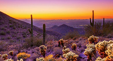 Scottsdale desert opener
