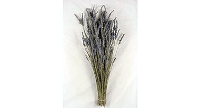 dried-lavender