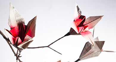 paper-lilies-artist-keri-muller