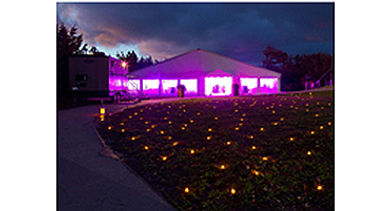 led-lights-lawn