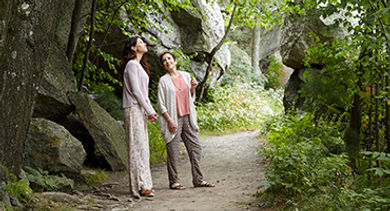 mohonk-forest-bathing-wellness-walk