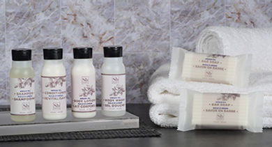 Delta-hotels-soapbox-products