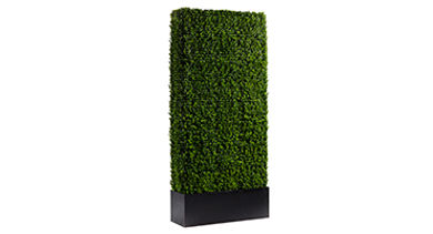 cort-event-furnishings-boxwood-hedge-2