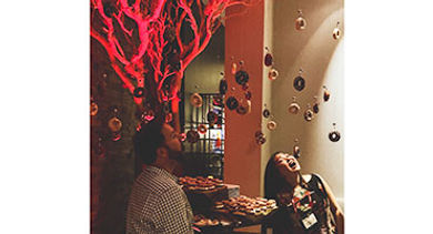 annaheim-marriott-doughnut-tree