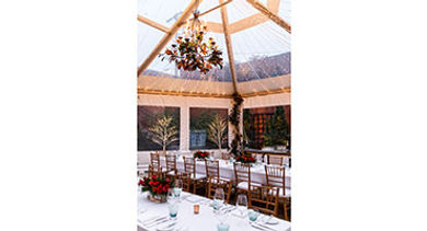 ivy-hotel-winter-garden-baltimore