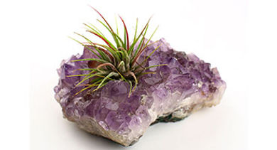 amethyst-votive-crystal-plant-holder