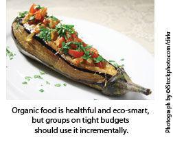 1009 GREEN organic food