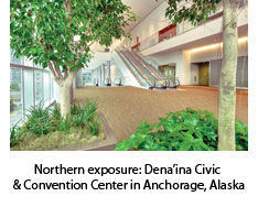 Dena'ina Civic CC