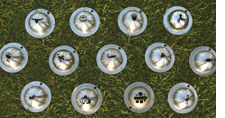 Tin cup stencils