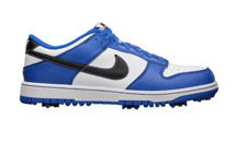 Nike Dunk Shoe
