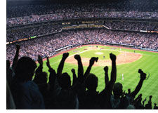 An evening at the ballpark