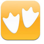 GooseChase app