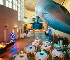 Aquarium of the Pacific