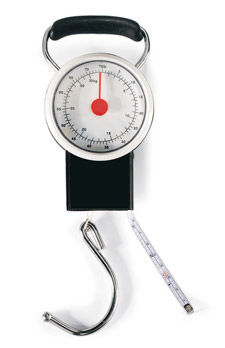 Luggage scale