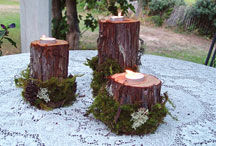 Redwood and moss tea-light holders