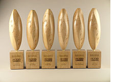 Wooden awards by janet helm