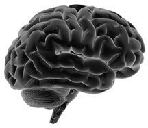 0709SC Floater brain