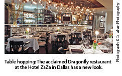 Dragonfly at the Hotel ZaZa