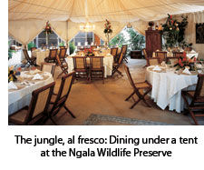 Dining at the Ngala Wildlife Preserve