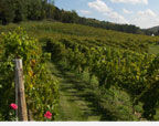Wollersheim Winery