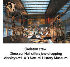 Dinosaur Hall at L.A. Natural History Museum