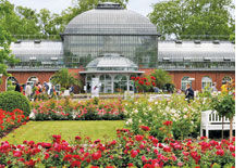 PalmenGarten