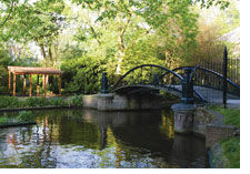 Hortus Botanicus