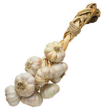 Garlic from the Stinking Rose
