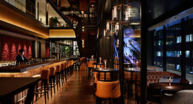 Namiki667-hyatt-centric-ginza-tokyo