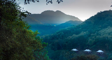 rosewood laos