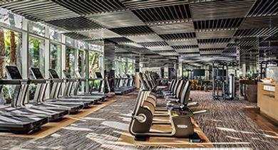 technogym aria vegas