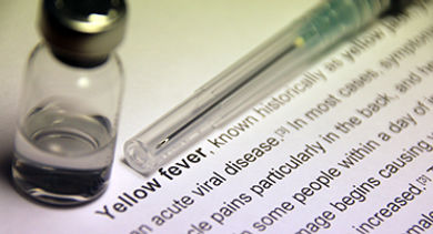 yellow-fever-syringe-GettyImages-509538142