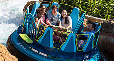 Orlando Theme Parks - SeaWorld Orlando Attractions