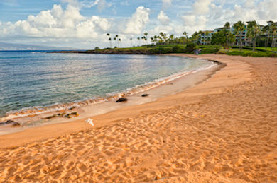 Kapalua Bay Beach