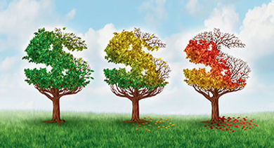 Money Tree stock Money Tree stock