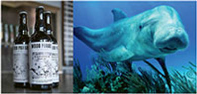 St. Pete/Clearwater's manaphin
campaign has inspired the creation
of a local brew (left). The mythical
beast is pictured on the right.
