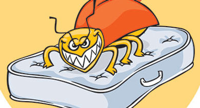 NLR2016 Bedbugs Biting illustration opener
