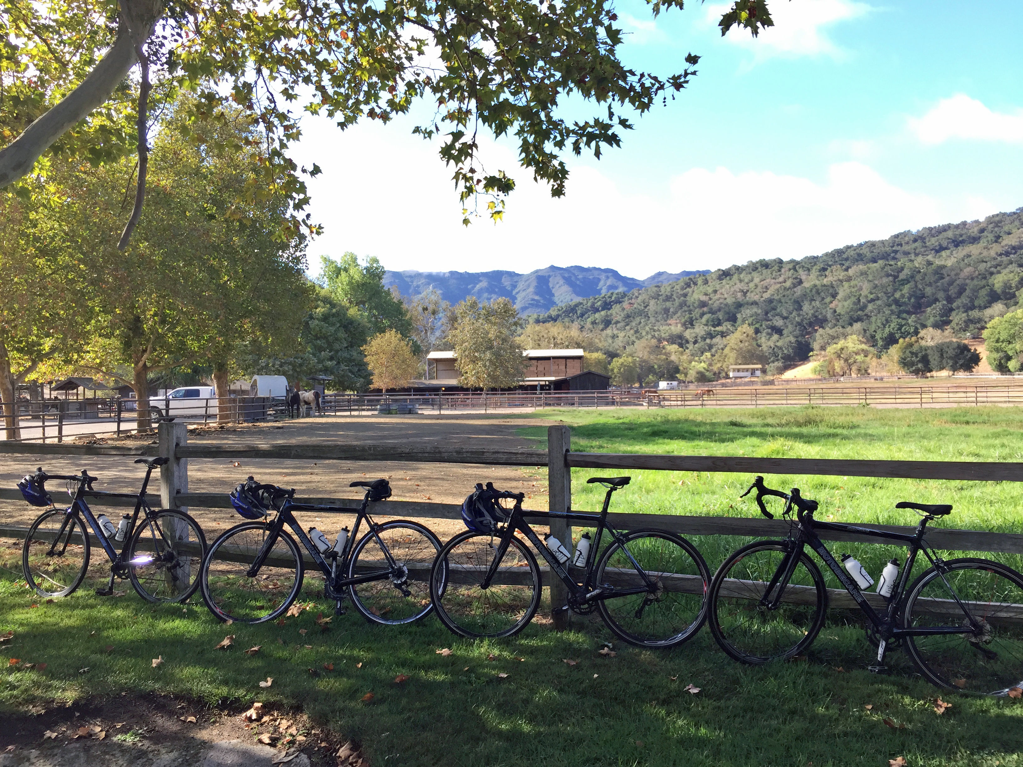 New offerings include cycling tours of the Santa Ynez Valley.