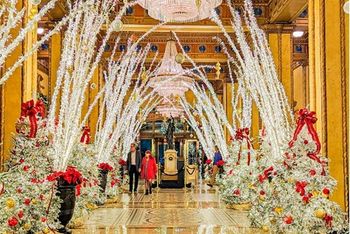 luxury hotels