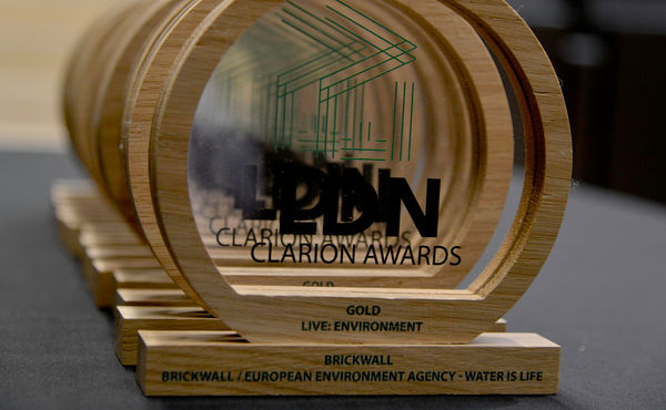 EVCOM Clarion Awards trophies from a previous year. Image: Leo Wilkinson.
