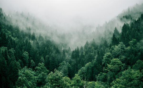 Carbon offset venuedirectory