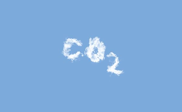 Carbon capture Earthly
