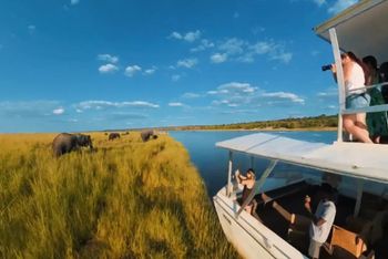 Win a dream safari: Meeting Needs Silent Auction opens for bids