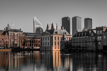 The Hague white paper