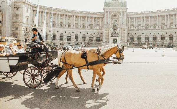 vienna