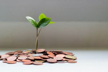 Budget 2024: Raising the curtain on the sector’s potential
